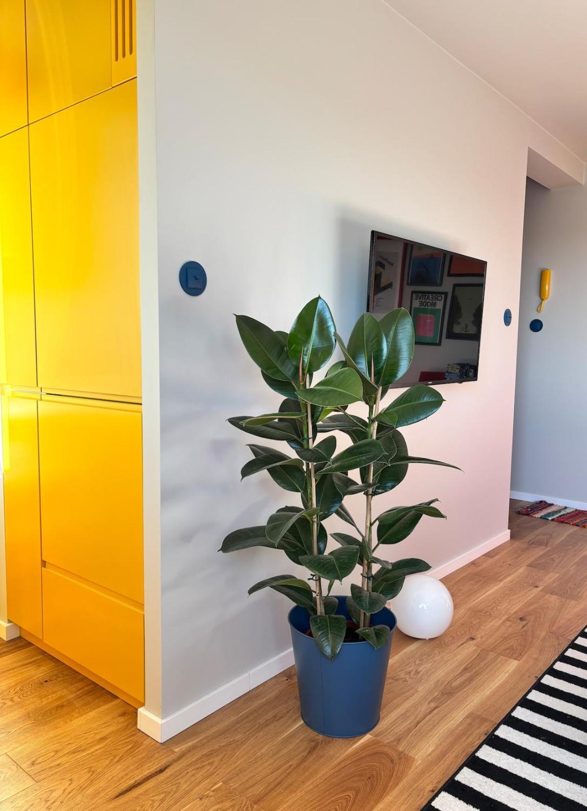 Yellow Lotus Apartamento
